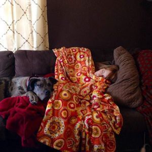 Meet your Posher, Catherine